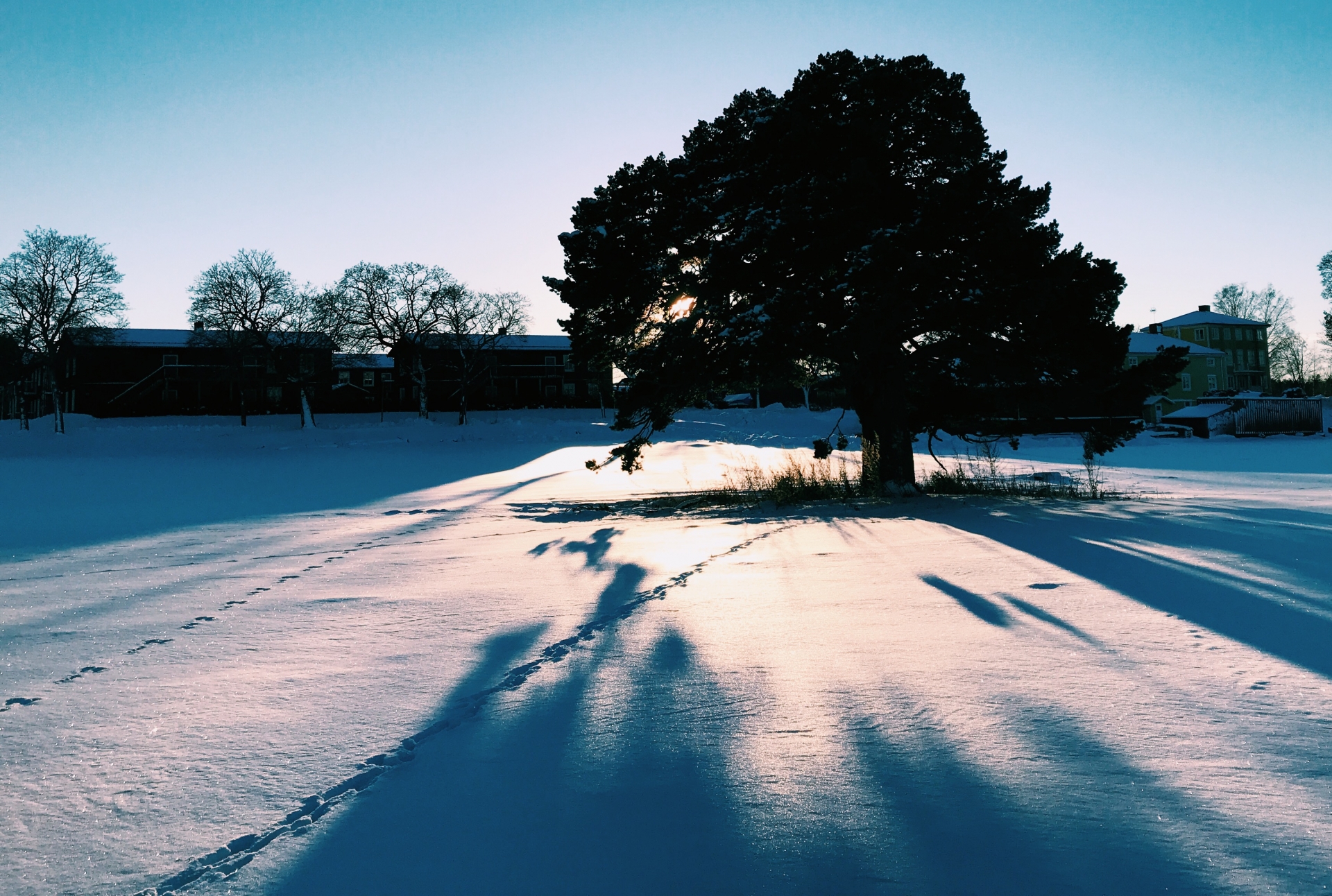 Den här veckan hjälps vi åt med snöskottningen